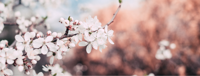 Erwachen mehr als Mindset