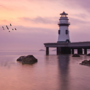 Vertrauen statt Kontrolle