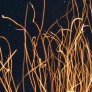 Bewusstseinswandel im Coaching